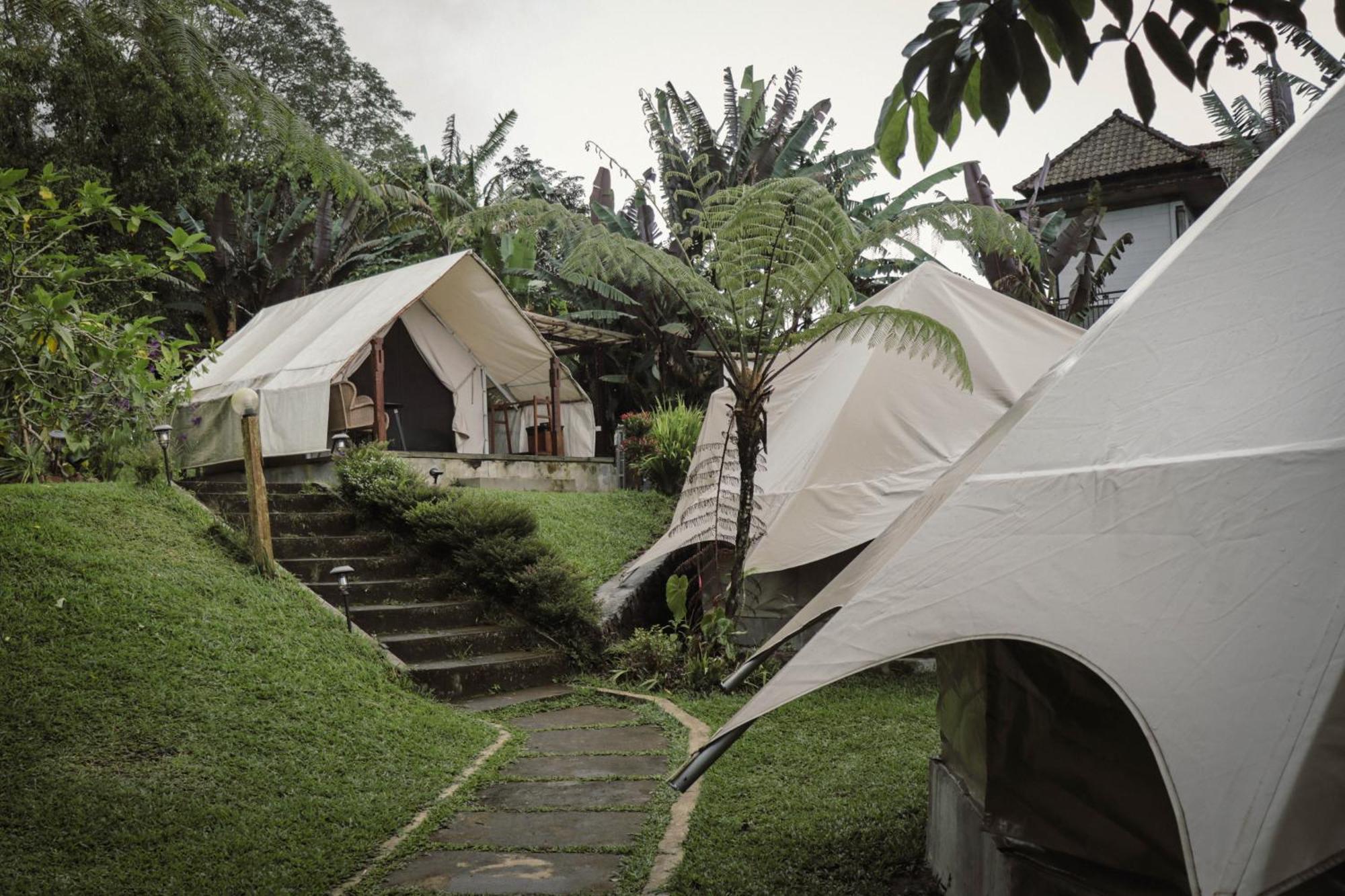 Alamu Eco Lodge Bedugul  Exterior photo
