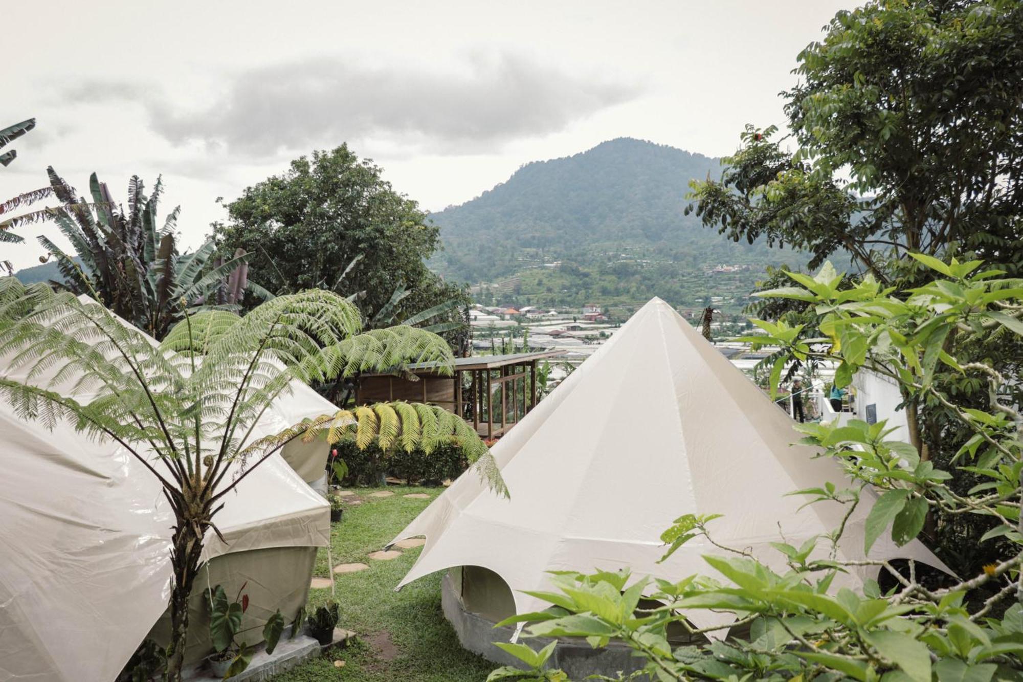 Alamu Eco Lodge Bedugul  Exterior photo