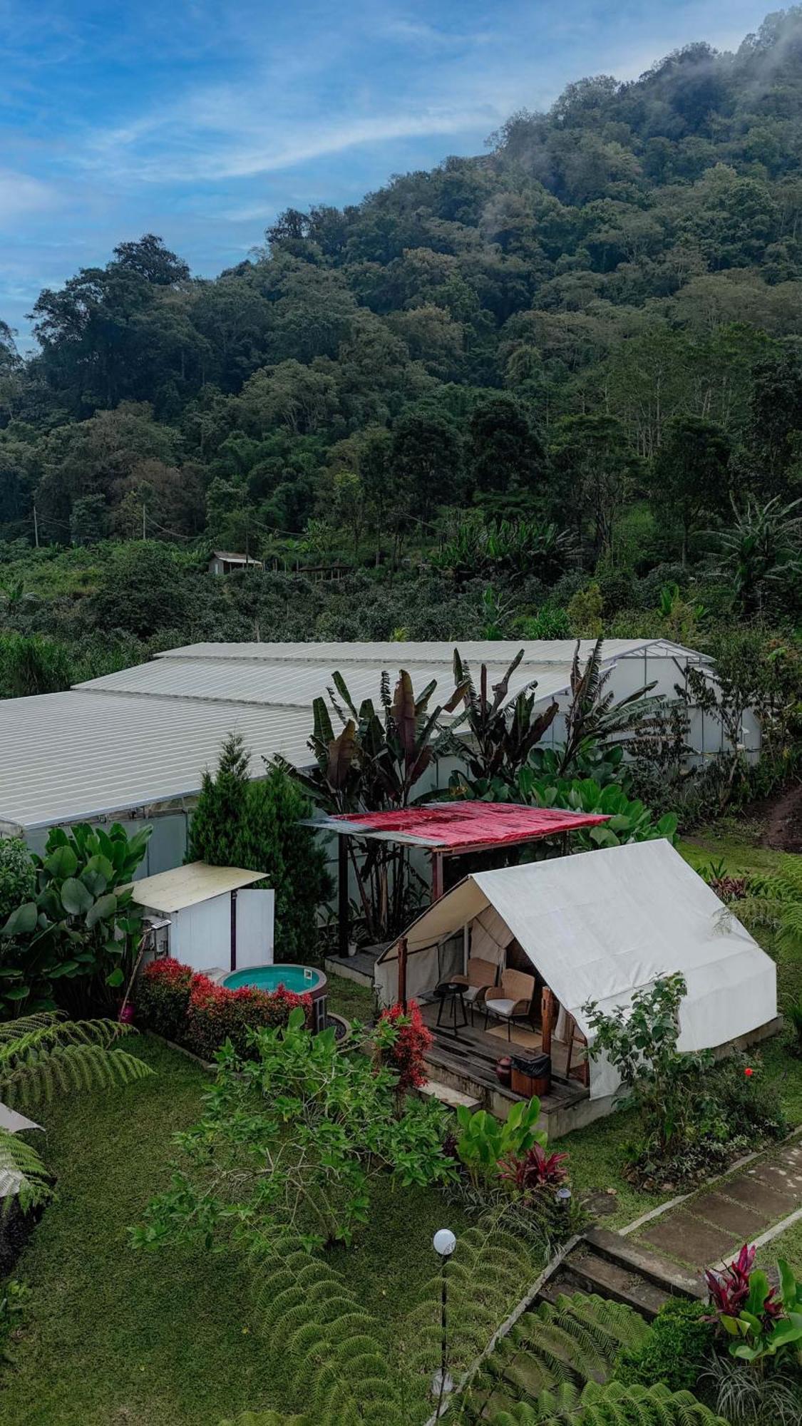 Alamu Eco Lodge Bedugul  Exterior photo